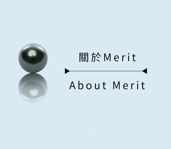 關於Merit | About Merit